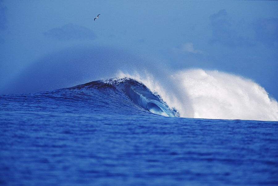 Moorea wave