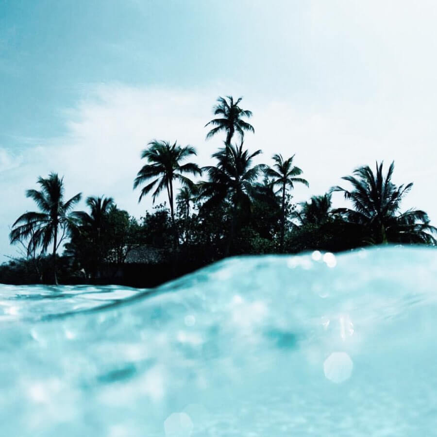 Under/over water island palm trees