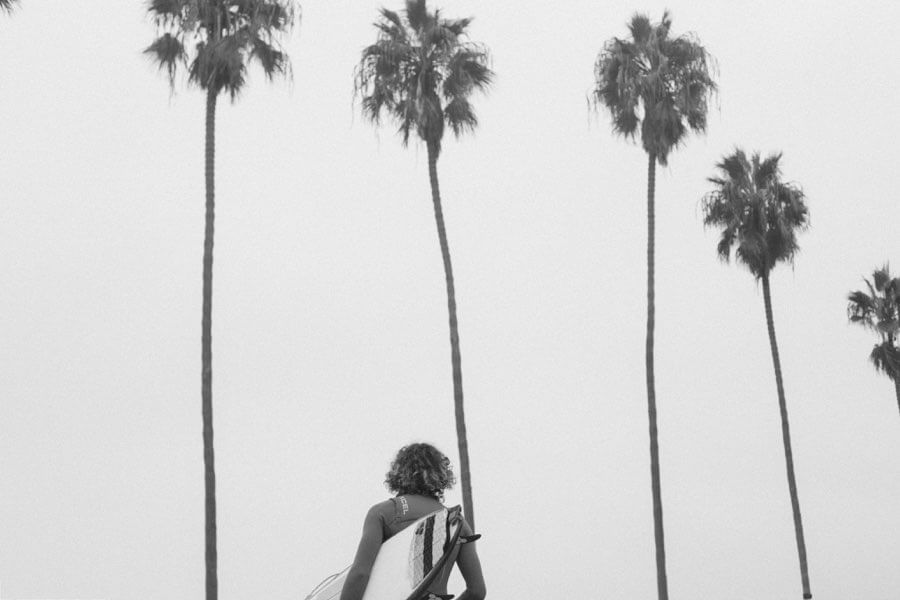 Surfer and palm trees