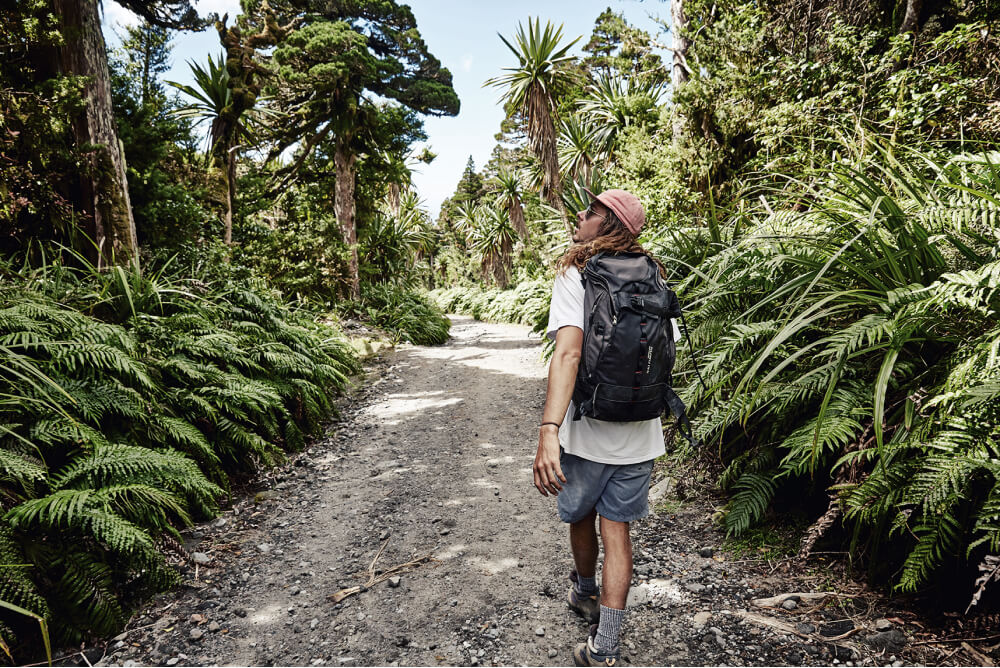 Man exploring in jungle