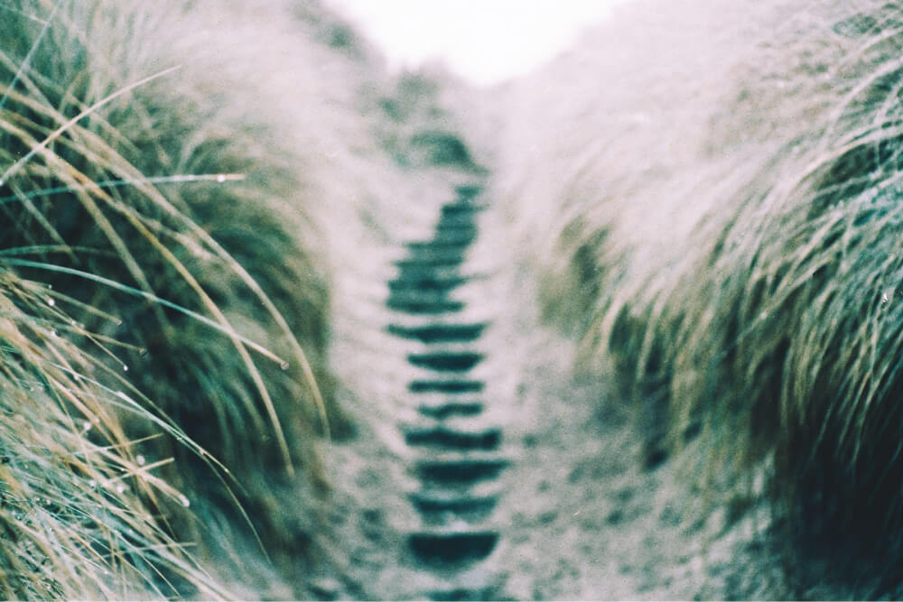 Beach steps through sand dunes