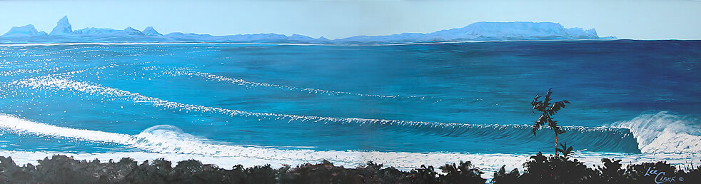 Hawaii ocean wave scene