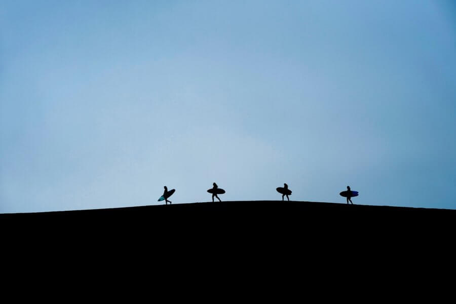 The Search