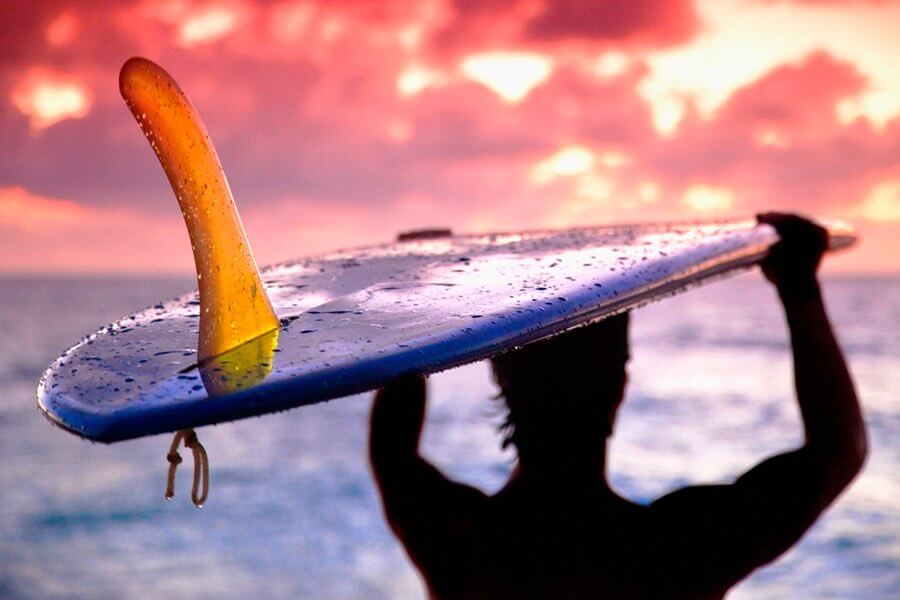 Single Fin Surfer