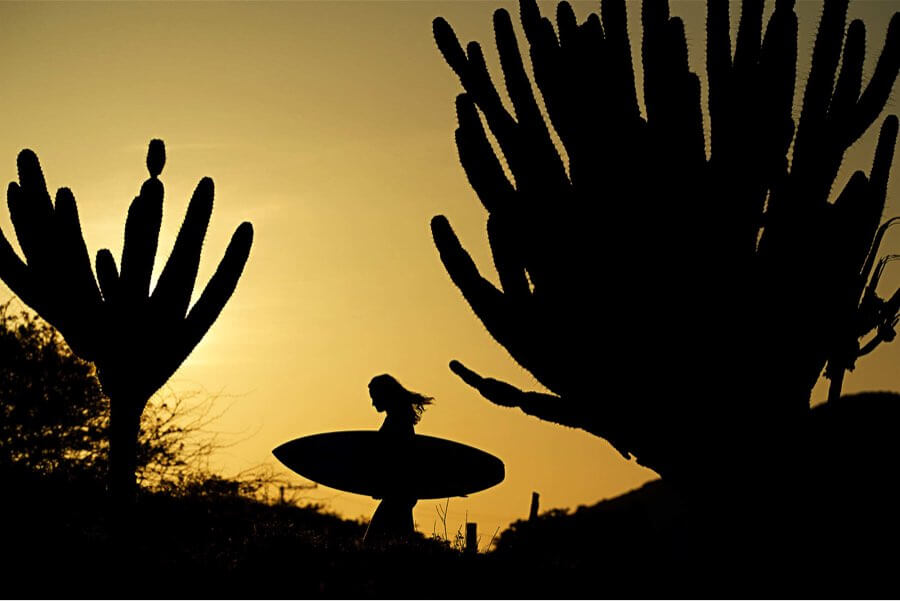 Female surfer sunset silhouette